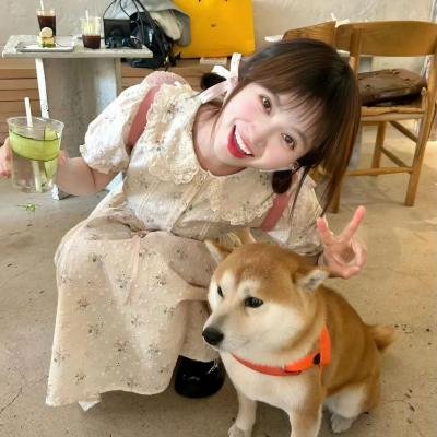 老木的秘密
