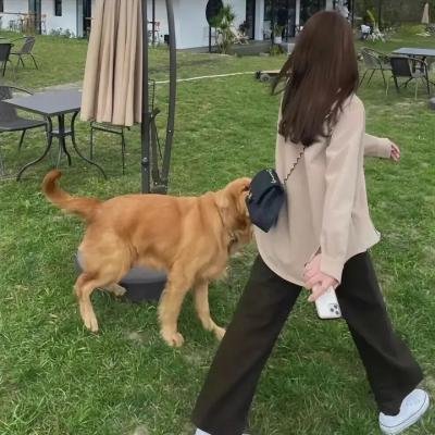 快乐的百万富翁
